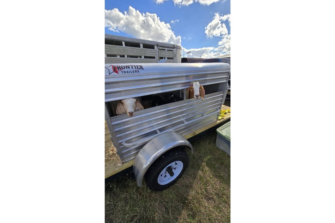 New 2026 Frontier Trailers 5'1" Truck Bed Livestock Box – Double Doors & Center Divider