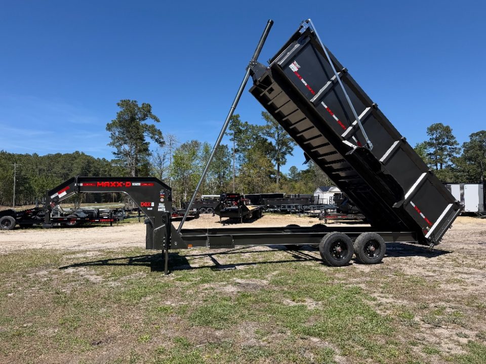 2026 MAXXD DSX photo 4