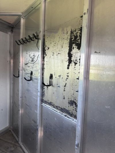Used 2009 Cimarron Trailers 4H GN Horse Trailer