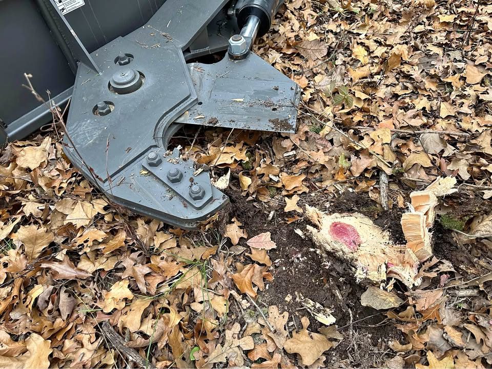 New CID tree shear