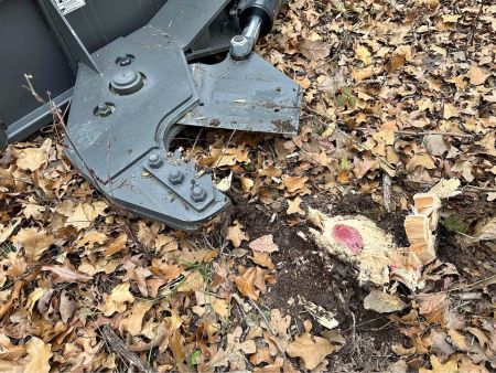New CID tree shear