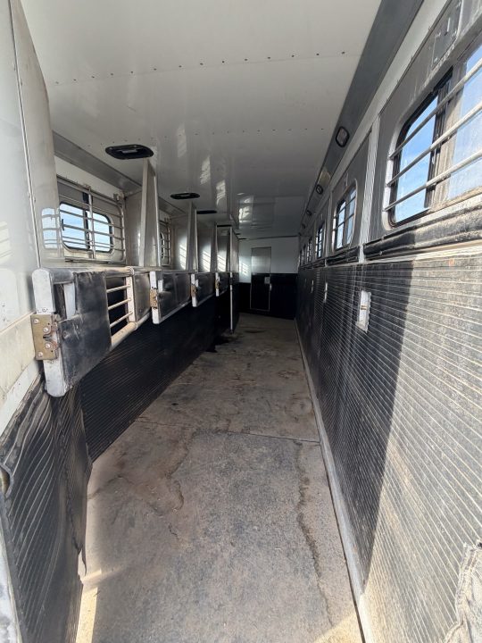 Used 1997 Sundowner Trailers 5H GN Horse Trailer