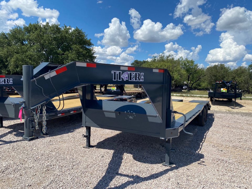 2026 Tiger