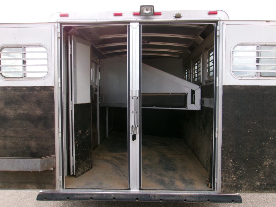 Used 2015 Elite 3H Mustang GN
