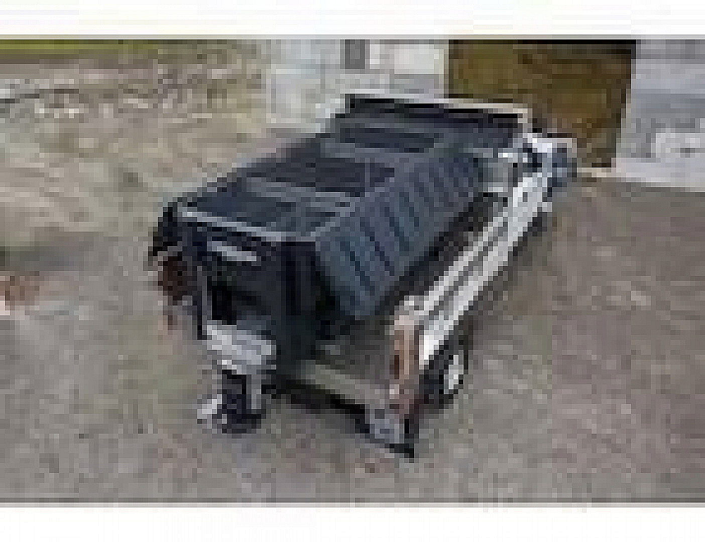 New 2026 SALTDOGG (PRO3000M) 3.0 CU YD PRO POLY HOPPER SPREADER - MULTIPLEX
