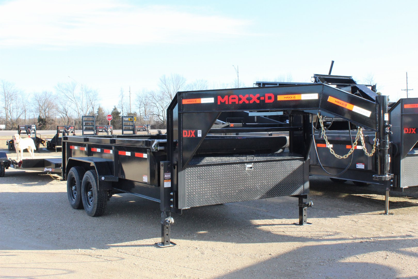 2025 MAXXD DJX