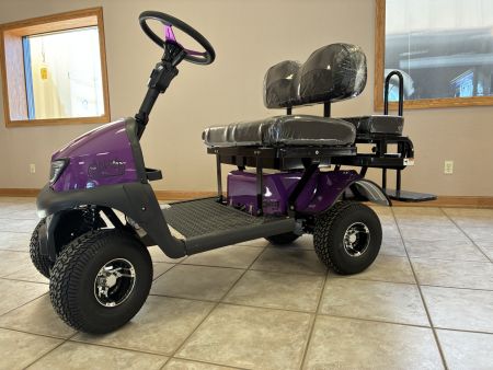 New 2026 Cricket Mini Golf Carts Cricket RX -5