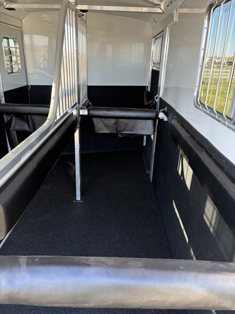 New 2026 4-Star 2 Horse Straight Load with Side Ramp Horse Trailer