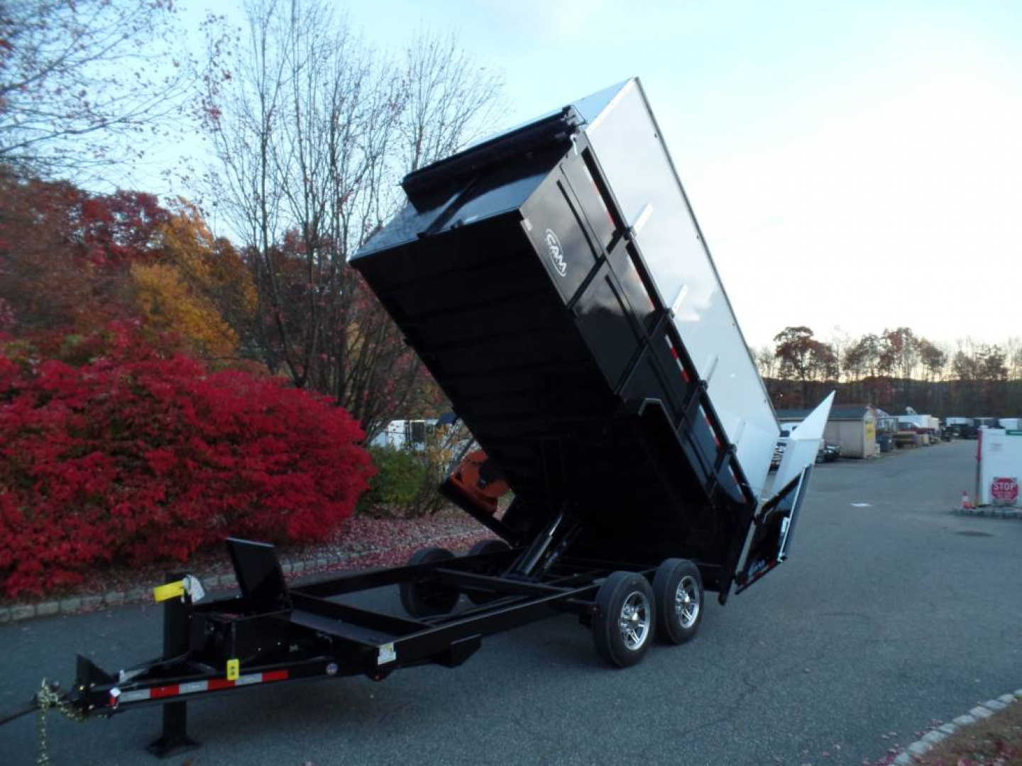 New EXAMPLE / Dump Trailer with 270 degree swing away mount ,Leaf Vacuum and Enclosure for Leaves