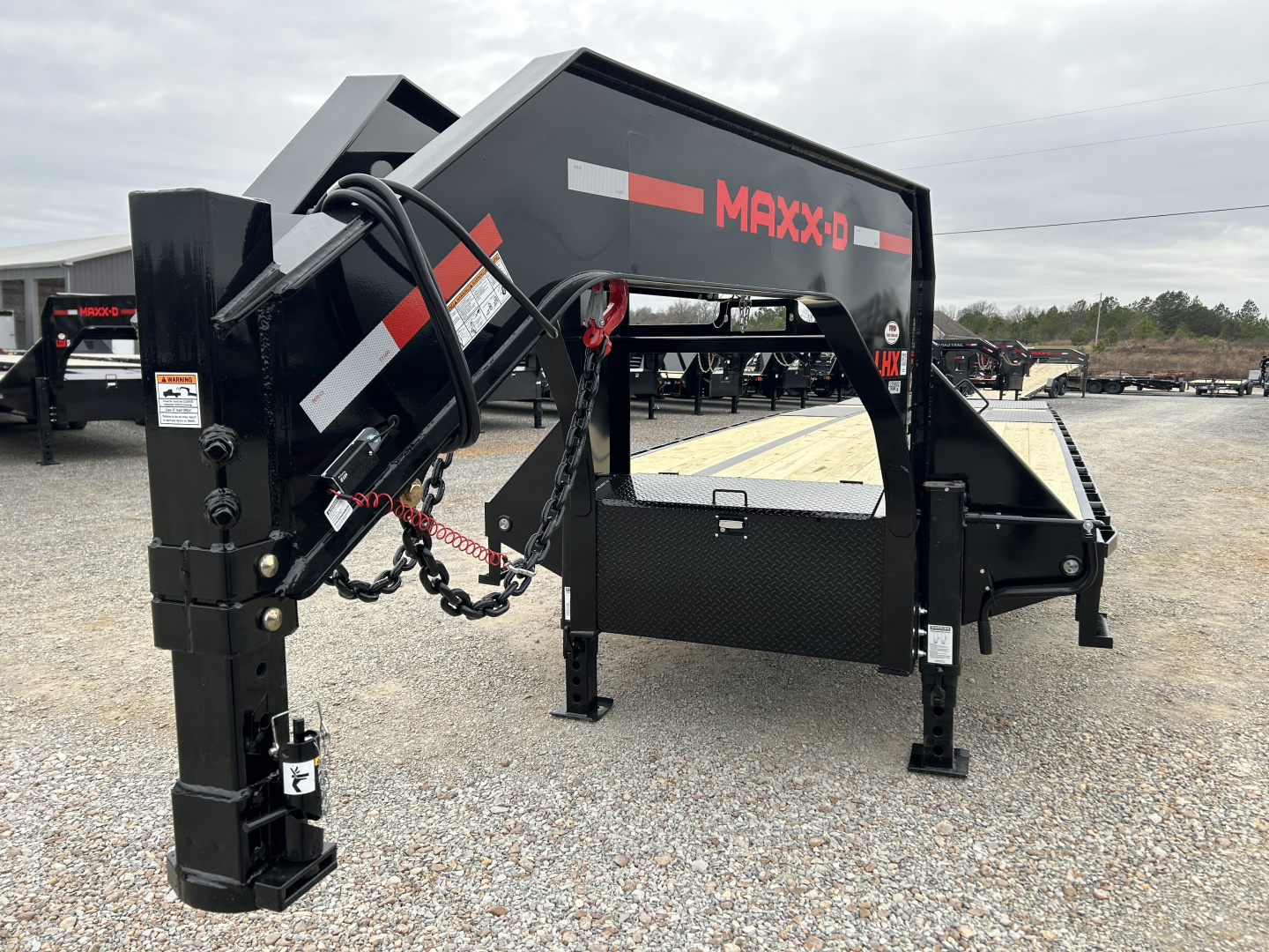 2026 MAXXD photo 8