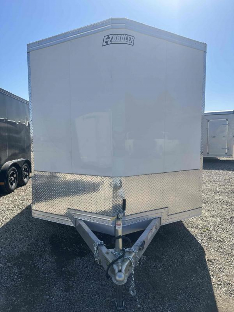 2023 AL ENC-TDM