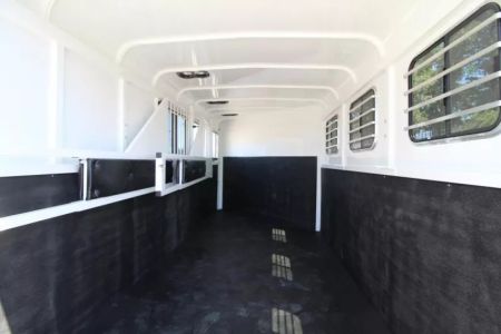 New 2026 Thuro-Bilt Renegade 3H 1' added length- Extra Divider Catch